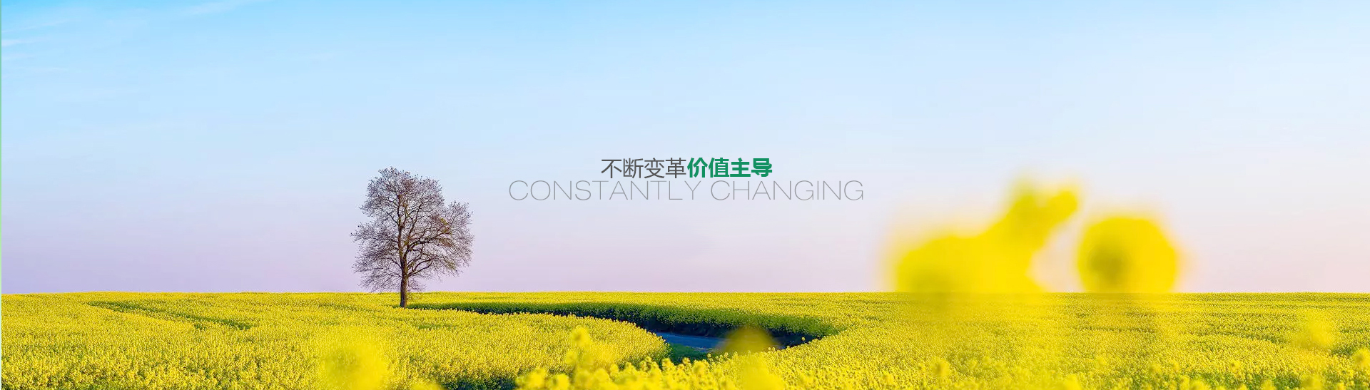 技术开发合同包括，很多人第一步就错了